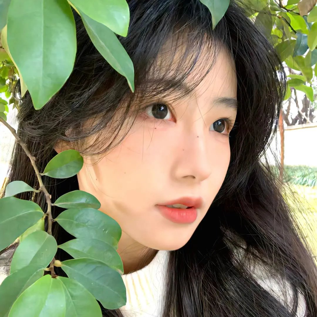 刁蛮小姐